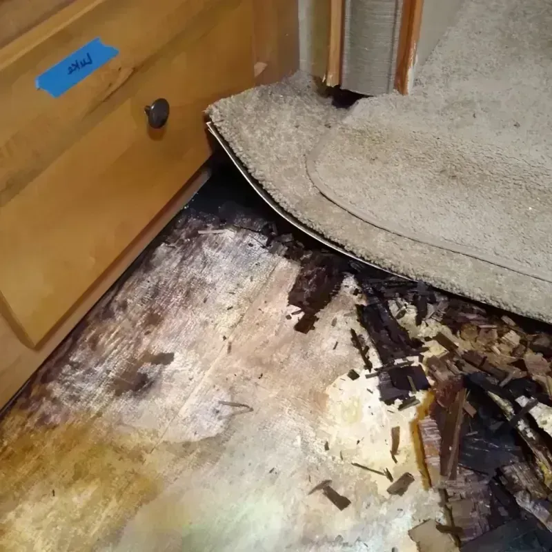 Best Wood Floor Water Damage Service in Fayette County, IL